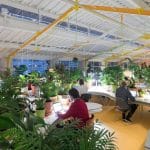 Real Estate, Office 3.0 or Retail 4.0? How Coworking Lounges and Experience‑Driven Shopping Centers Are Merging Into a Single Asset Class